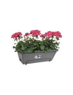 Barcelona Allin1 50 cm Elho: Set Fioriera e Ganci Completo 2