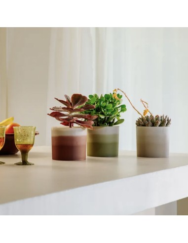 Colour Gradient Round Marrone Cedro Elho: Design Sfumato