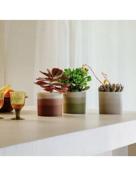 Colour Gradient Round Marrone Cedro Elho: Design Sfumato