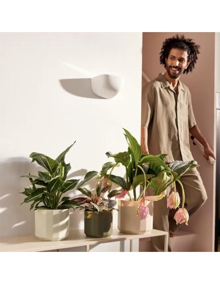 Facet Round Rosa Mandorla Elho: Vaso Design Sfaccettato Eco