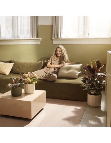 Facet Round Rosa Mandorla Elho: Vaso Design Sfaccettato Eco