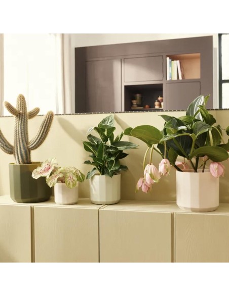 Facet Round Rosa Mandorla Elho: Vaso Design Sfaccettato Eco
