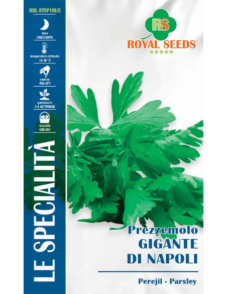 SEMI DI PREZZEMOLO GIGANTE NAPOLI sapore intenso