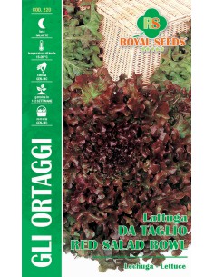 SEMI DI LATTUGA DA TAGLIO RED SALADBOWL croccanti