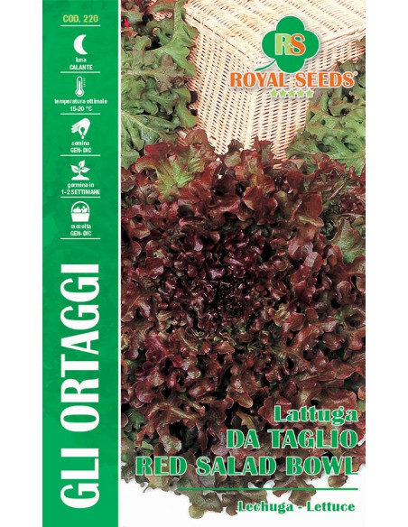 SEMI DI LATTUGA DA TAGLIO RED SALADBOWL croccanti