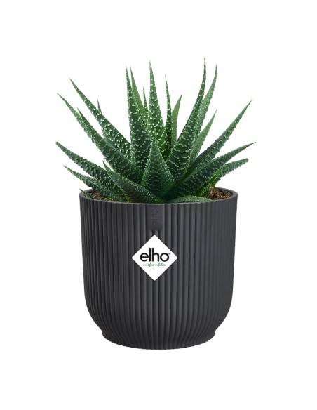 Vibes Fold Round Anthracite Elho: Vaso di Design Sostenibile