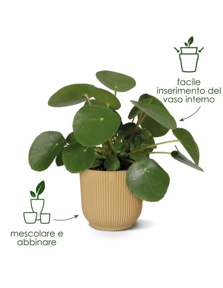 Vibes Fold Round Anthracite Elho: Vaso di Design Sostenibile
