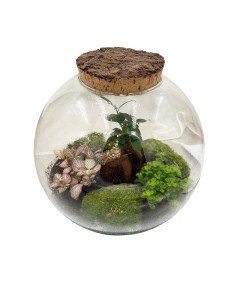 Terrarium Moon Medium 26cm: Giardino Sotto Vetro Design