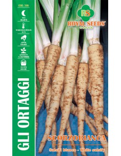 SEMI DI SCORZOBIANCA "salsify" GUSTO DELICATO