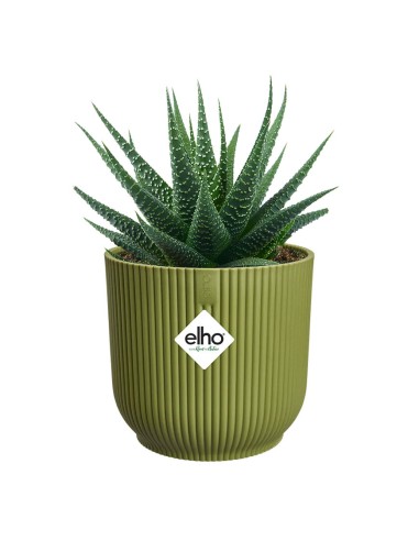 Vibes Fold Round Verde Felce Elho: Design Naturale e Green
