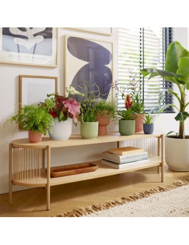 Vibes Fold Round Verde Felce Elho: Design Naturale e Green