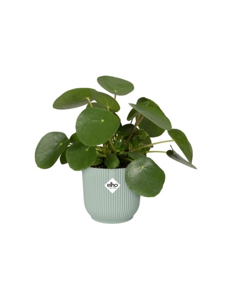 Vibes Fold Round Verde Sorbetto Elho: Design Pop e Green