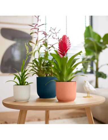 Vibes Fold Round Verde Sorbetto Elho: Design Pop e Green
