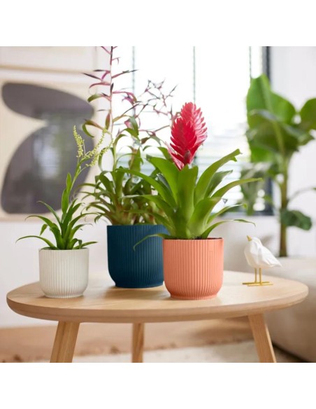 Vibes Fold Round Verde Sorbetto Elho: Design Pop e Green