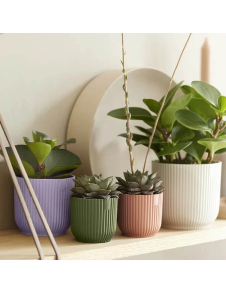 Vibes Fold Round Verde Sorbetto Elho: Design Pop e Green