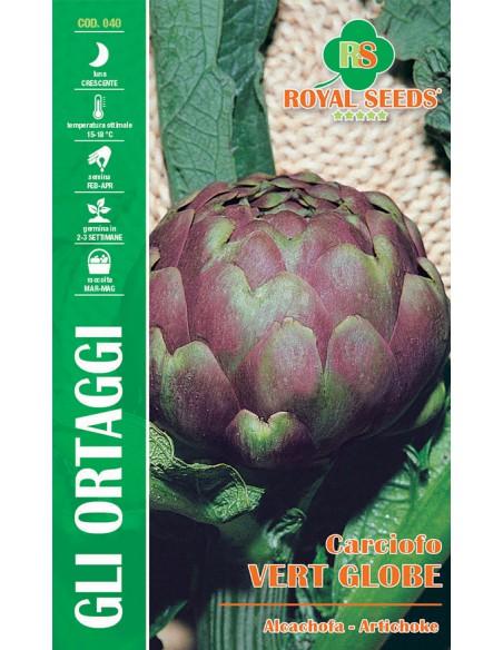 CARCIOFO VERT GLOBE MAXI