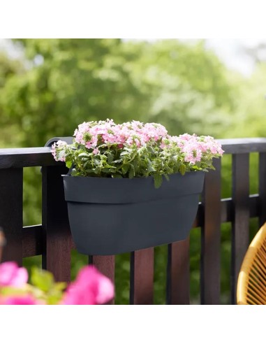 Vibia Campana Easy Hanger Large elho: Stile e Praticità