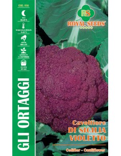 SEMI CAVOLFIORE DI SICILIA VIOLETTO