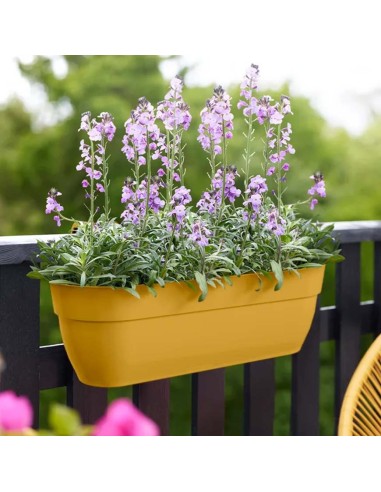 Vibia Campana Easy Hanger XL58cm: fioriera balcone di design