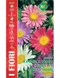 SEMI ASTRO CINESE A FIORE SEMPLICE MIX Coloratissimi