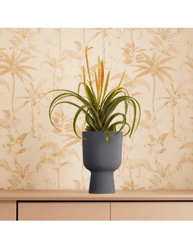 Elho Vibes Fold Coupe 14cm: Design a Pieghe per Piante Chic