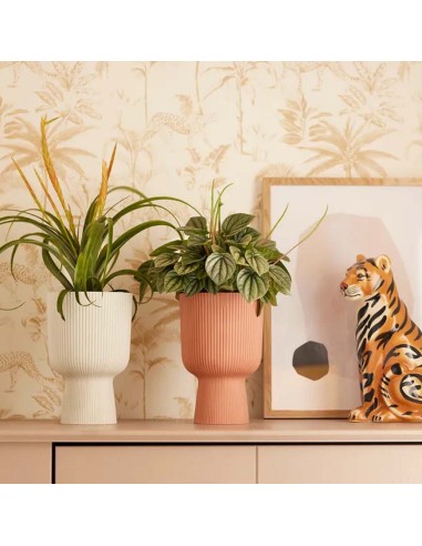 Elho Vibes Fold Coupe 14cm: Design a Pieghe per Piante Chic