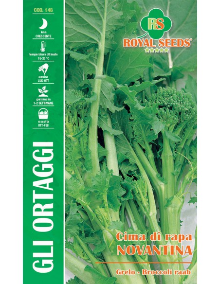 SEMI DI CIMA DI RAPA NOVANTINA(F.LISCIA) foglie tenere