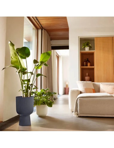 Vibes Fold Coupe 30 cm Elho: Design a Pieghe e Stile Moderno