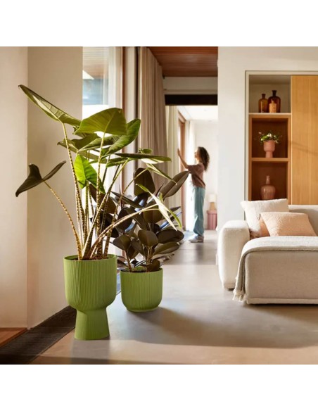 Vibes Fold Coupe 30 cm Elho: Design a Pieghe e Stile Moderno