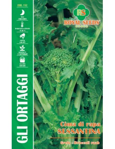SEMI CIMA DI RAPA SESSANTINA (F.LISCIA)