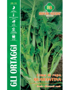 SEMI CIMA DI RAPA QUARANTINA (F.LISCIA)