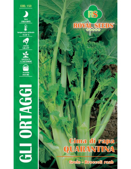 SEMI CIMA DI RAPA QUARANTINA (F.LISCIA)