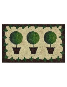 Zerbino Verdemax Piante in Vaso 45x75 cm | Fibra di Cocco