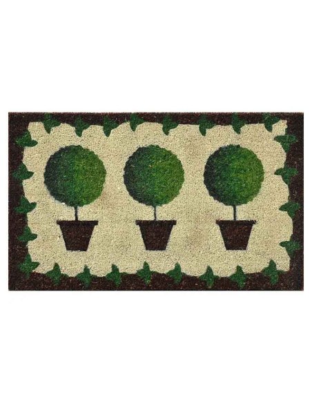 Zerbino Verdemax Piante in Vaso 45x75 cm | Fibra di Cocco