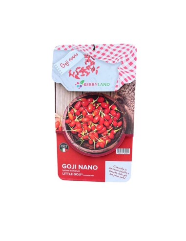 Goji Nano "Little Goji" bacche di benessere nel tuo giardino