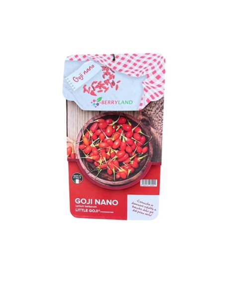 Goji Nano "Little Goji" bacche di benessere nel tuo giardino