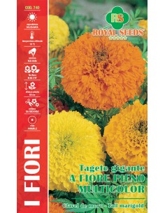SEMI TAGETE GIGANTE A FIORE PIENO MULTICOLOR insettifugo