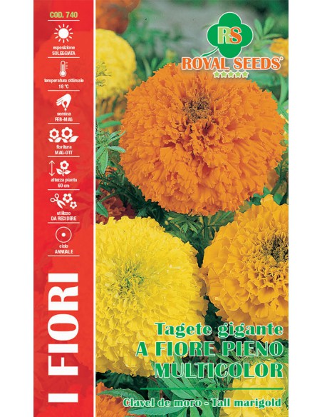 TAGETE GIGANTE A FIORE PIENO MULTICOLOR insettifugo