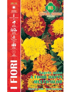 SEMI TAGETE NANO A FIORI DOPPI MULTICOLOR