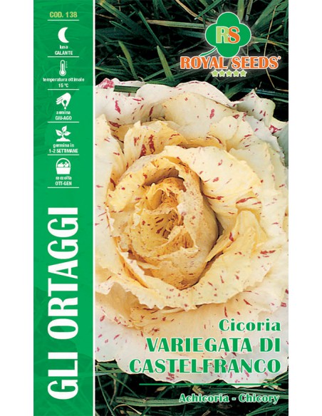 SEMI CICORIA VARIEGATA DI CASTELFRANCO Amarognolo
