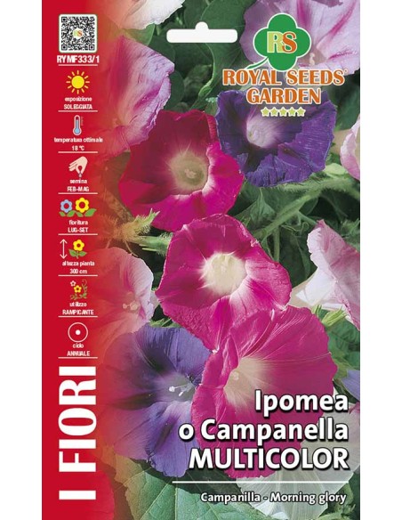Ipomea Campanella Multicolor Royal Seeds | Semi