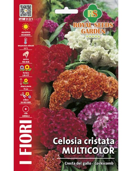 Fiori Spettacolari: Semi Celosia Cristata Royal Seeds