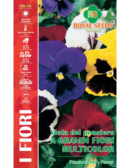 SEMI DI VIOLA DEL PENSIERO GRANDI FIORI MULTICOLOR