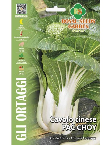 Semi Cavolo Cinese Pac Choy Royal Seeds | Orto Fresco
