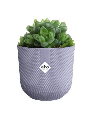 Vaso Elho Jazz Round Lavanda Lilla: Design per le Tue Piante