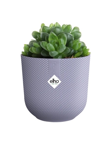 Vaso Elho Jazz Round Lavanda Lilla: Design per le Tue Piante