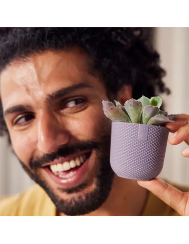 Vaso Elho Jazz Round Lavanda Lilla: Design per le Tue Piante