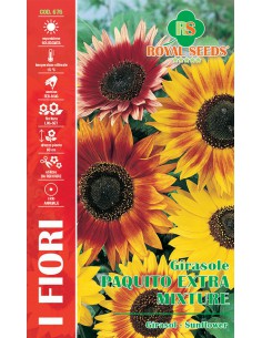 SEMI GIRASOLE PAQUITO EXTRA MIXTURE