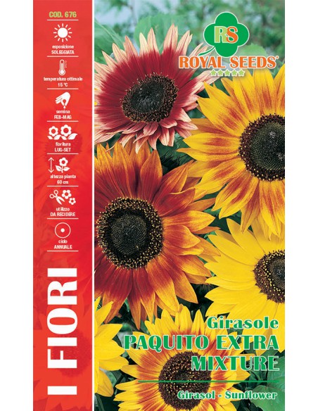 GIRASOLE PAQUITO EXTRA MIXTURE MAXI