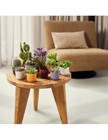 Vaso Elho Jazz Round Nero Living Black: Design Minimalista